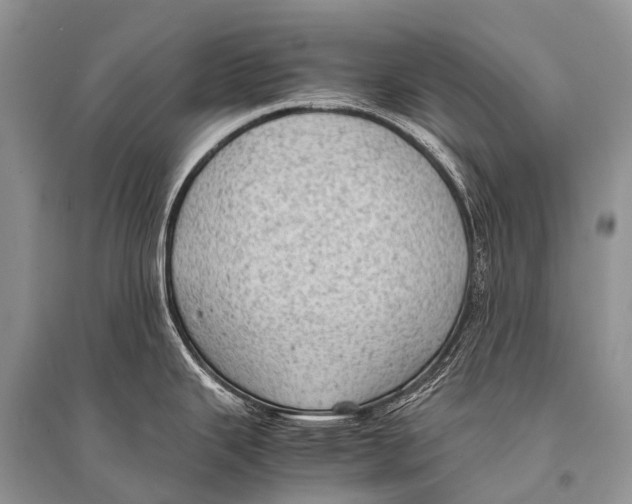 X0000094911343200712201148