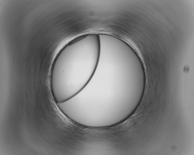 X0000094911344200712201148