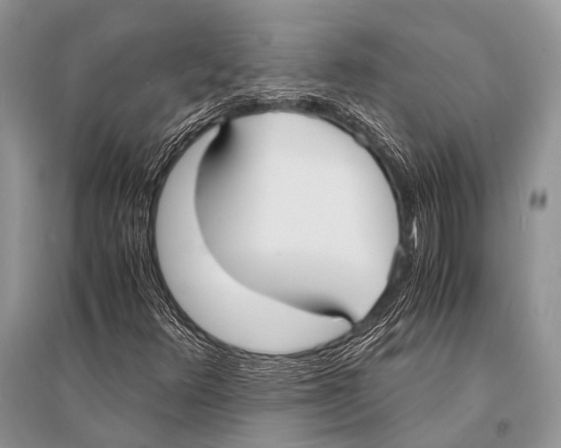 X0000094911348200712201148