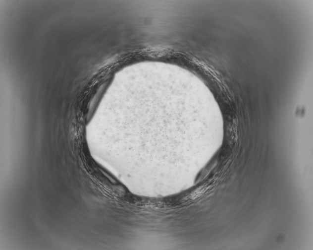 X0000094911349200712201148