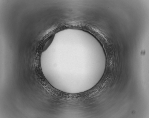 X0000094911350200712201148
