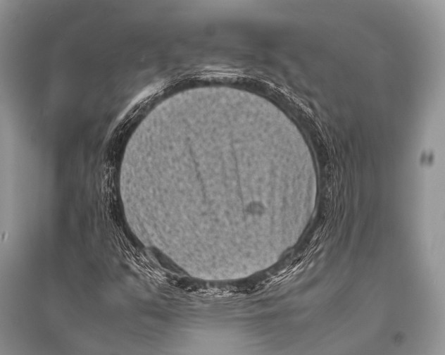 X0000094911351200712201148