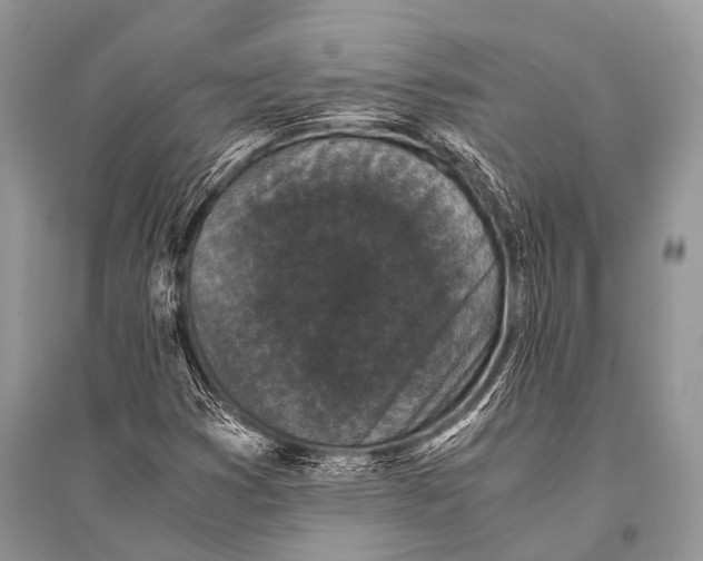 X0000094911353200712201148