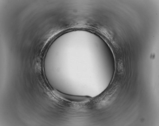 X0000094911356200712201147