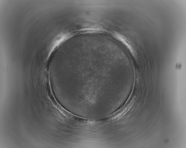 X0000094911357200712201147