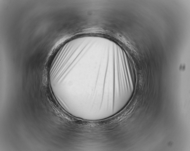 X0000094911358200712201147
