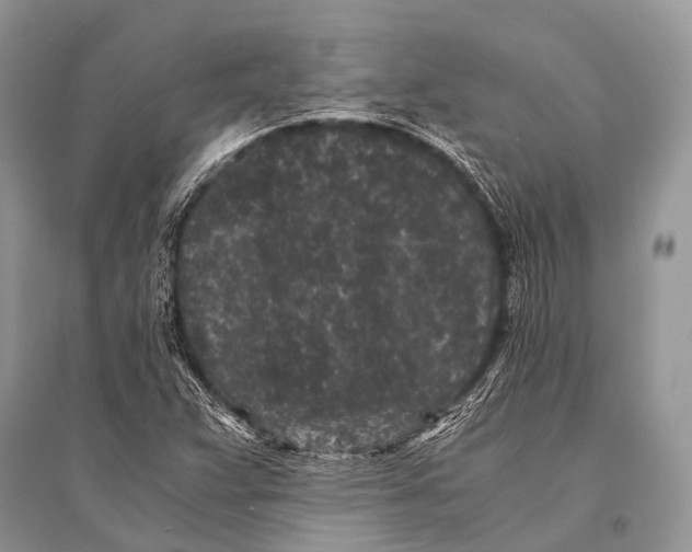 X0000094911359200712201147