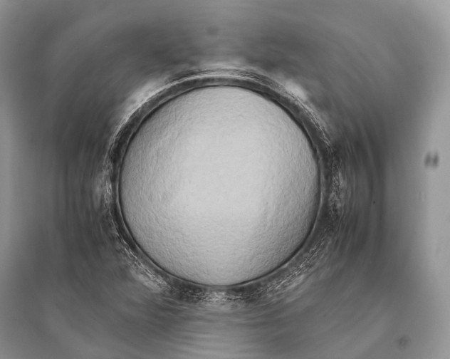 X0000094911360200712201147
