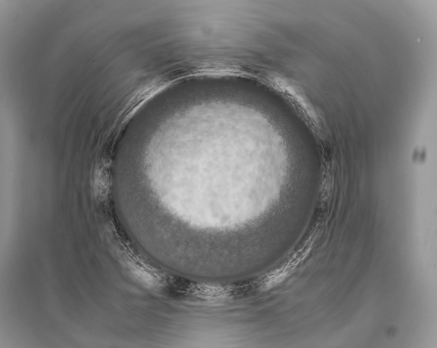 X0000094911361200712201147