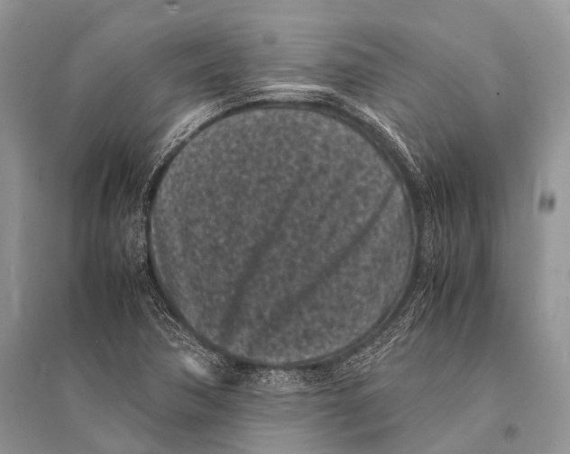 X0000094911362200712201147