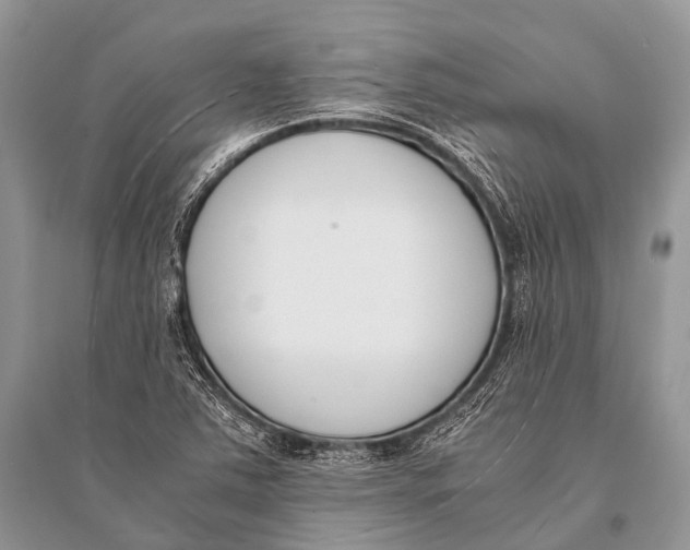 X0000094911363200712201147