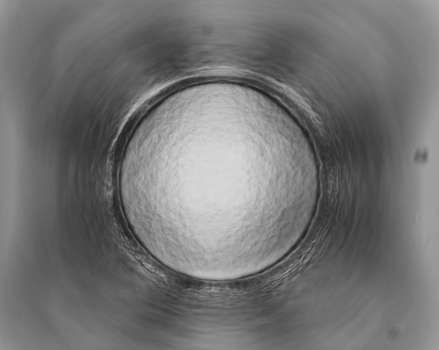 X0000094911364200712201147