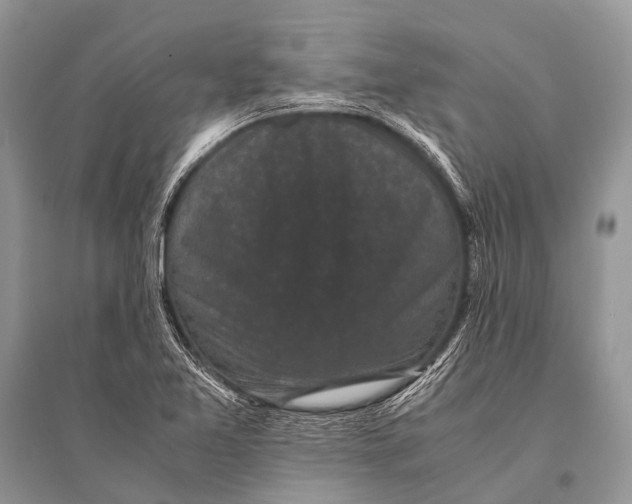 X0000094911365200712201147