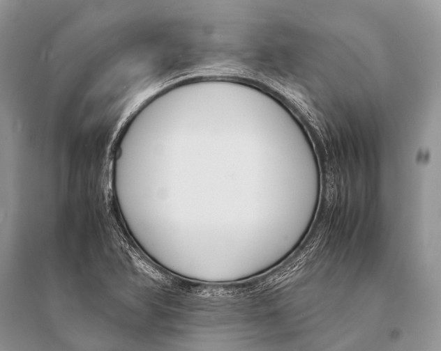 X0000094911366200712201147