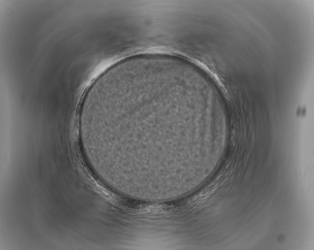 X0000094911367200712201147