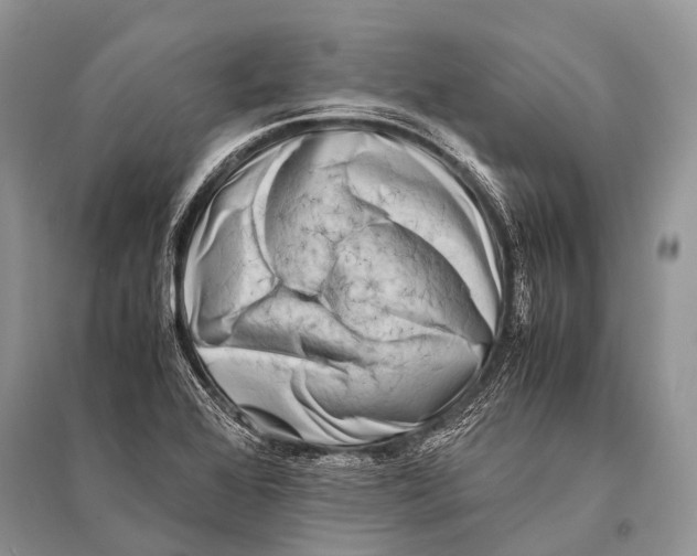 X0000094911368200712201147