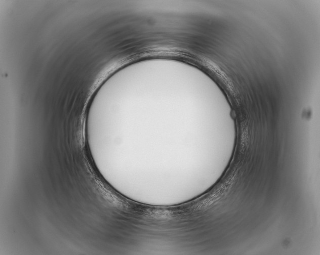 X0000094911370200712201147
