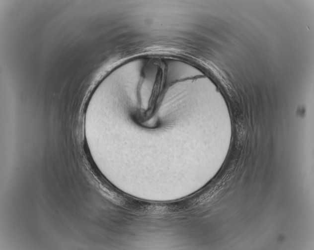 X0000094911371200712201147