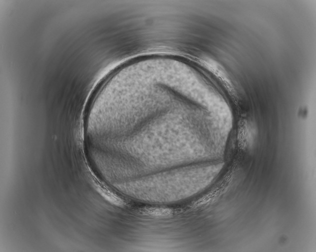 X0000094911372200712201147