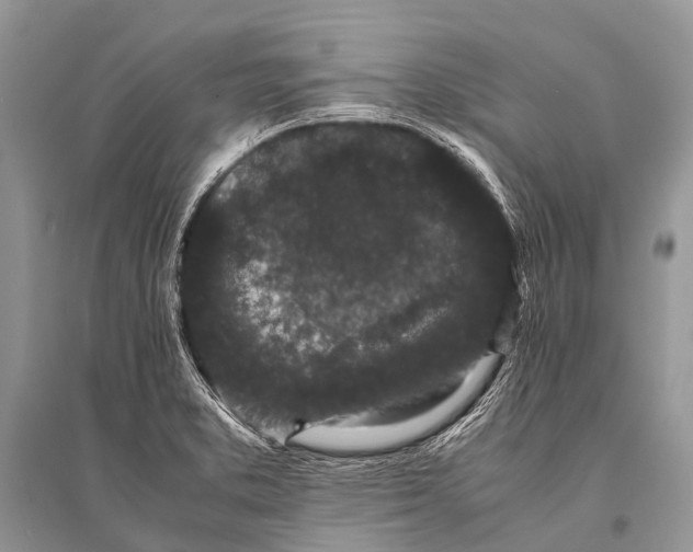 X0000094911373200712201147