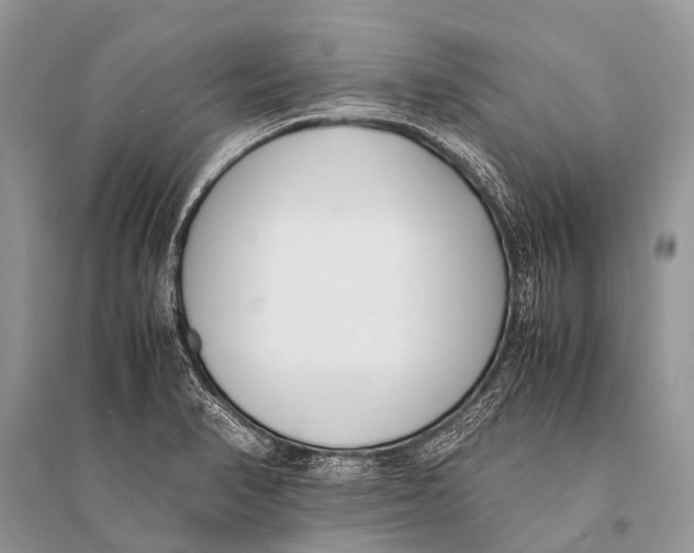 X0000094911374200712201147