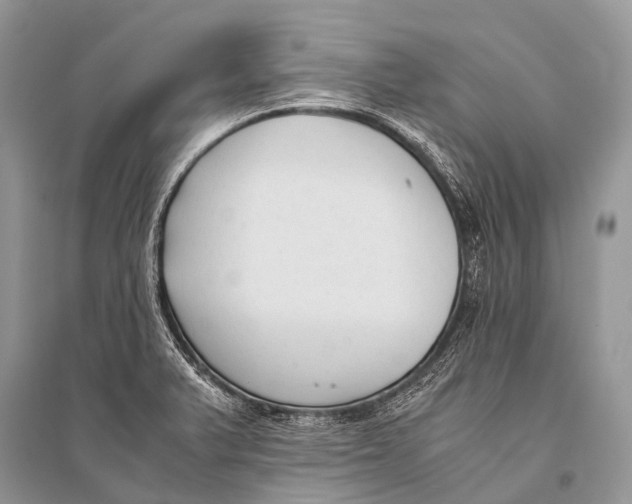 X0000094911375200712201147