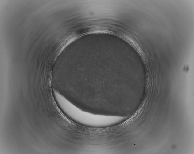 X0000094911377200712201147