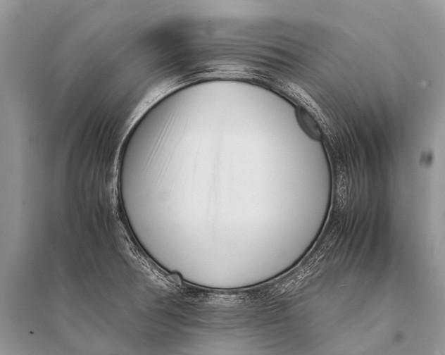 X0000094911378200712201147