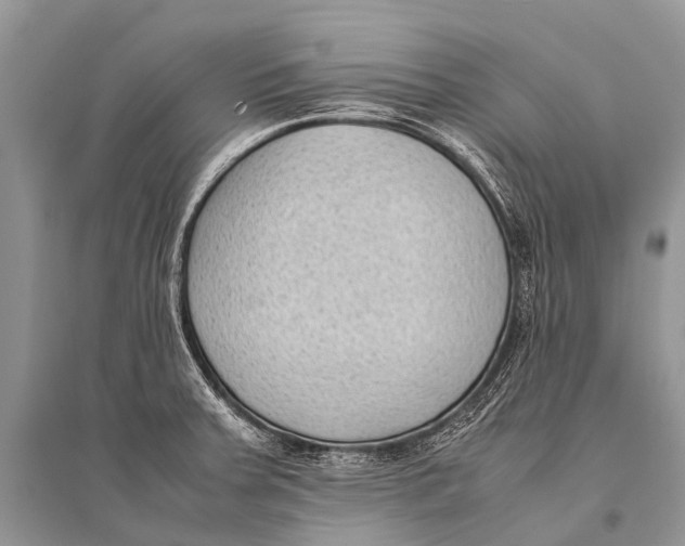 X0000094911379200712201147