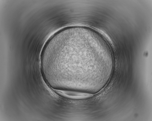 X0000094911380200712201147