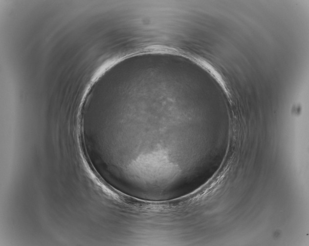X0000094911381200712201147