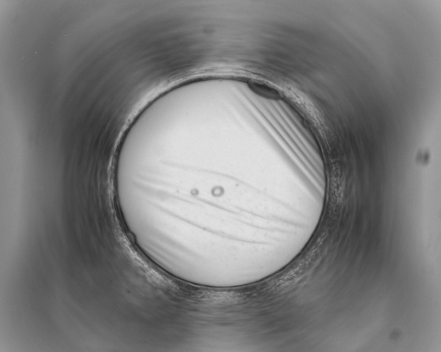 X0000094911382200712201147