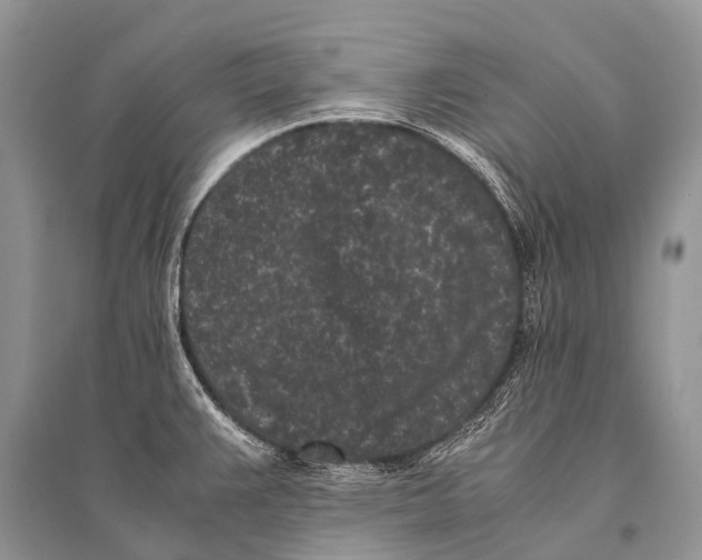 X0000094911383200712201147