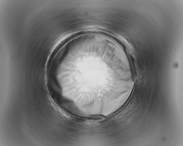 X0000094911384200712201147