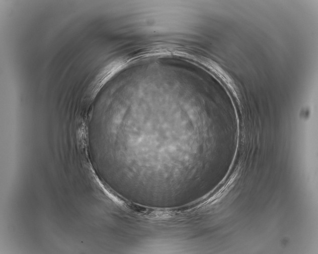 X0000094911385200712201147