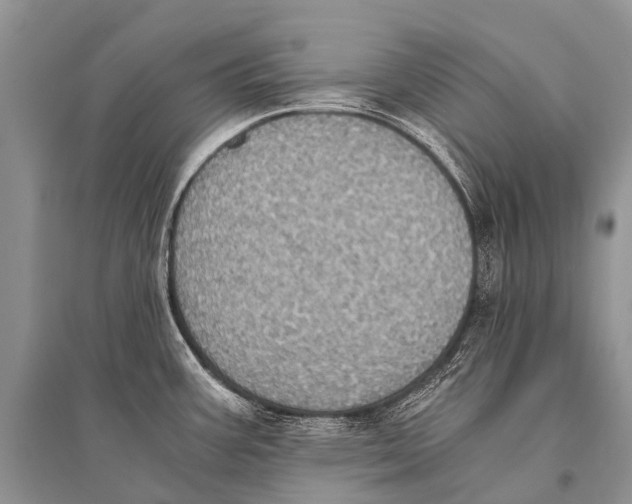 X0000094911387200712201147