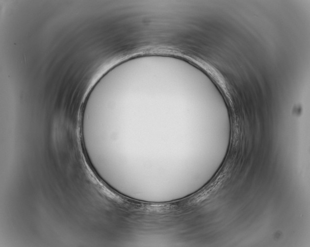 X0000094911390200712201147