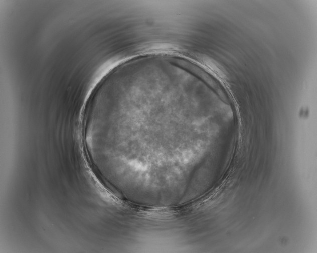 X0000094911392200712201147