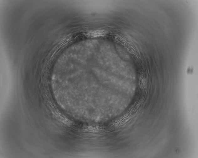 X0000094911393200712201146