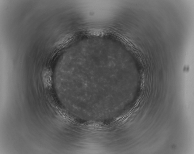 X0000094911394200712201146