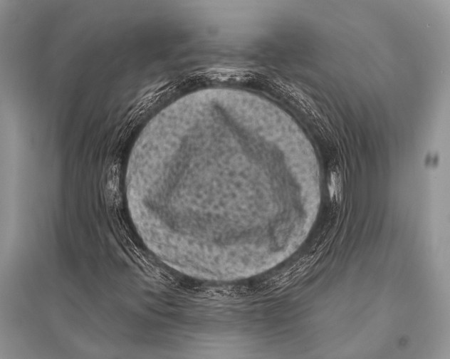 X0000094911396200712201146