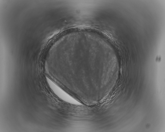 X0000094911398200712201146