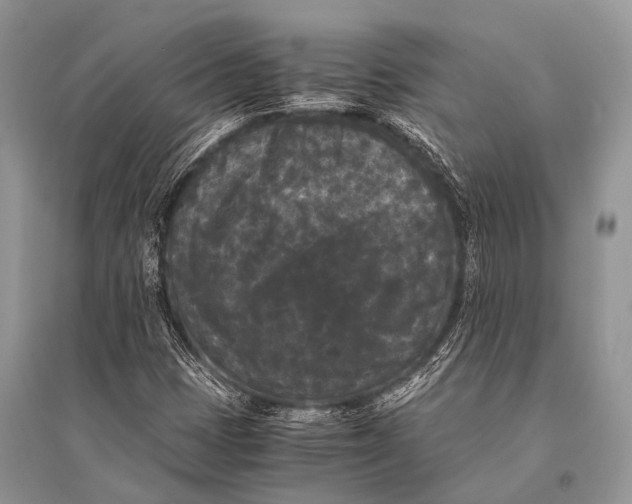 X0000094911401200712201146