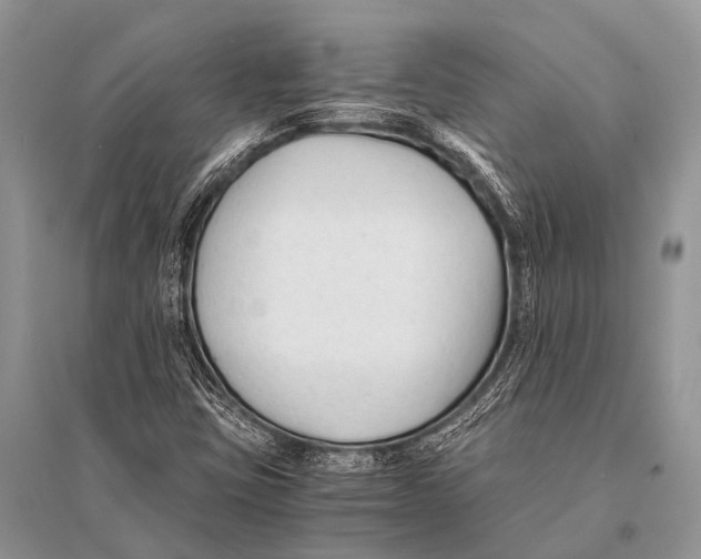 X0000094911403200712201146