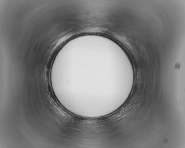 X0000094911404200712201146