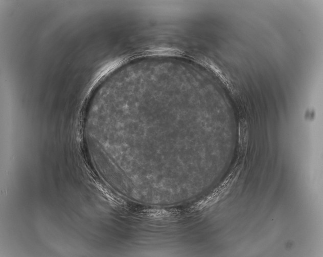 X0000094911405200712201146