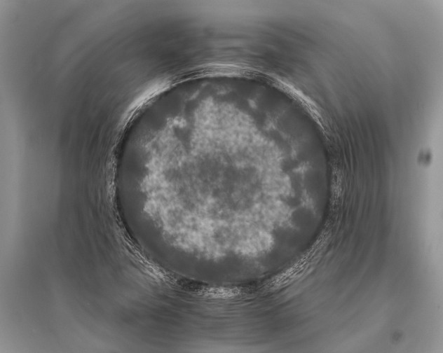 X0000094911411200712201147