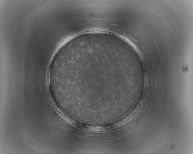 X0000094911413200712201147