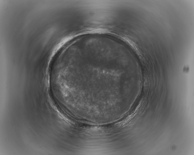 X0000094911414200712201147