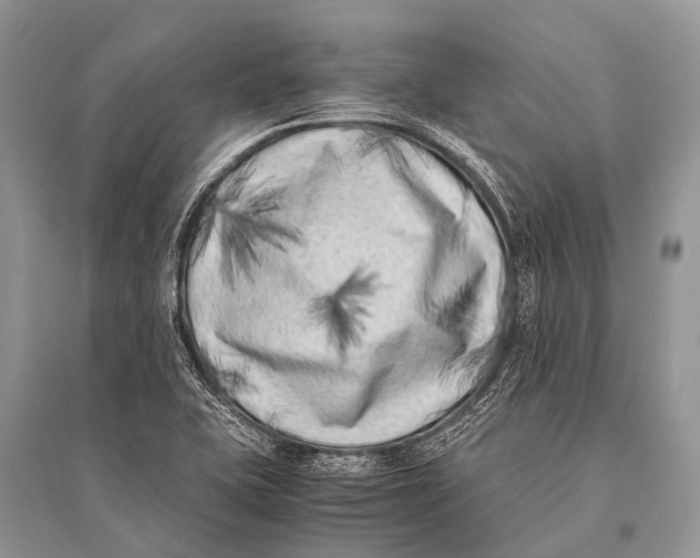 X0000094911415200712201147